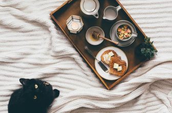 cat food safety tips