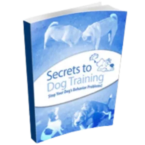 Secrets to Dog Training